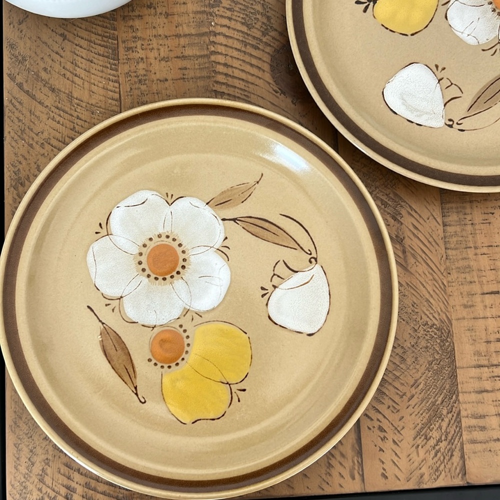 2 Vintage Hearthside Hand Painted Stoneware Dinner Plates - Painted in Japan